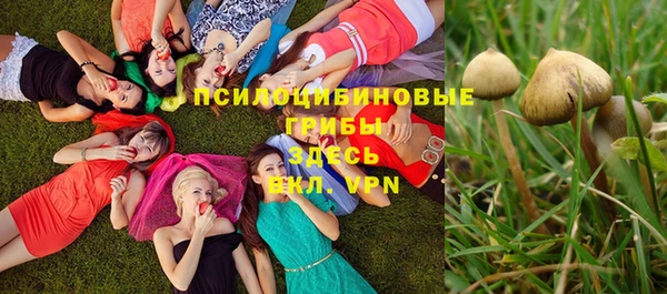 первитин Алагир