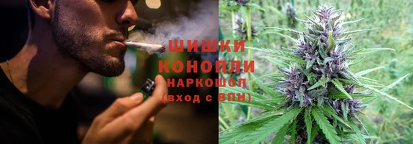 сатива Наволоки