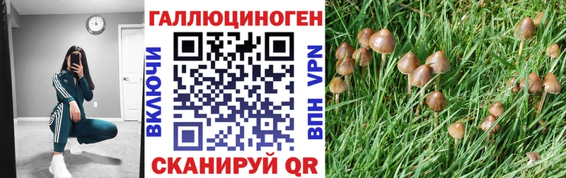 Псилоцибиновые грибы GOLDEN TEACHER  omg сайт  Судогда 